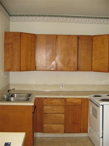 Eventually the electric stove will be replaced by a restored Wedgewood or O'Keefe and Merritt