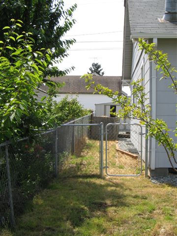 Soon to be a kitty cat garden paradise.&nbsp; Not quite the Santa Cruz Mountains, but hopefully the catnip will placate "The Boys"