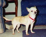 Go to CYBIL's page!