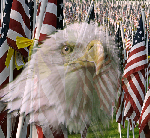 united_states_flags.jpg 302.4K