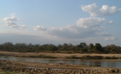 Crocodile River, southern boundry of Kruger NP.   CLICK HERE TO 
SEE A LARGER VERSION OF THIS PHOTO