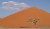 Another shot of Dune 45, some sand blowing off its top--Sossusvlei.    CLICK HERE FOR A LARGER VERSION OF THIS PHOTO.