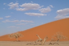 The reknowned Dune 45, at Sossusvlei.    CLICK HERE FOR A LARGER VERSION OF THIS PHOTO.