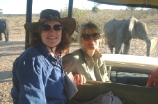 Elephants crossing the road, Karen and Doreen in the foreground.    CLICK HERE TO VIEW THE LARGER VERSION OF THIS PHOTO.