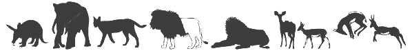 Line separator - animals all lined up!