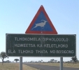 Ever wonder how to say, 'BEWARE ANIMALS   DRIVE WITH CAUTION   TAKE EXTRA CARE AT NIGHT' in the Tswana language?  Well, now you know!