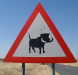 Warthog road (warning) sign... you see these ALL 
over the place.   CLICK HERE TO SEE A LARGER VERSION OF THIS PHOTO