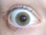 THE EVIL EYE IS WATCHING YOU!!!