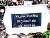 William Woodman