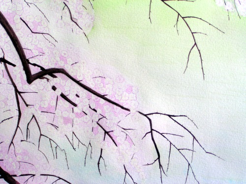 Images/cherryblossom_wc_10.jpg