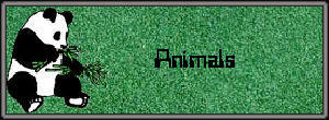 category image