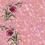 background set demo