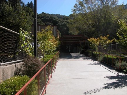The front of Thornhill School