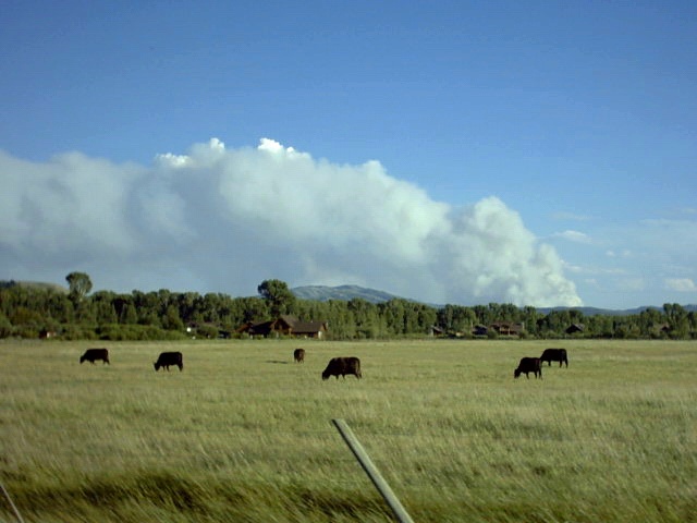 In ID looking at WY forest fire