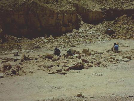 the quarry