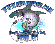 click for OBX - Avalon Pier Cam