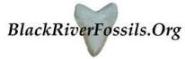 click to see what other's have found at the phostphate mine