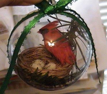 birdnest in a bubble