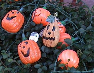 Punkin' Jack Travel Bug visits.