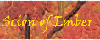 Scion of Ember logo