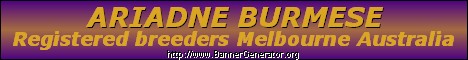 Ariadne Burmese Breeders