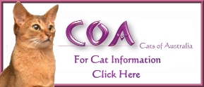 Cats of Australia