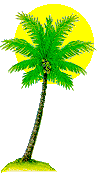 Touch a Thatch Cottage Rental, Negril Jamaica