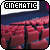 Cinema Fan