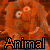 Animal Fan