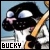 Bucky Katt Fan