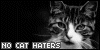 I Hate Cat Haters