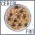 Cereal Fan