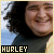 Hurley Fan