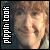 Pippin Fan