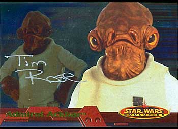 Tim Rose