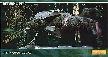 Warwick Davis - Wicket