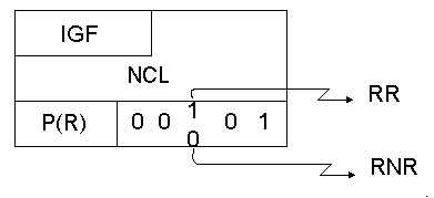 Asentimientos