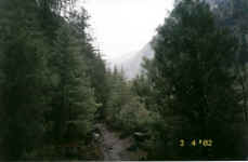 I have to cross some very scary landslides before reaching the calming forests of Chame at 2670m