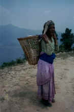Old Nepalese lady on the way to the World Peace Pagoda