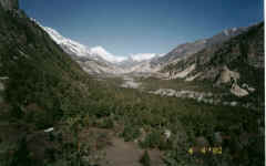 To reach Manang I have to trek across the most beautiful Norodhara valley (3280m)