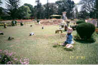 pix/bangalore_botanical_garden.jpg (126803 bytes)