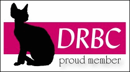Link to the Devon Rex Breed Club