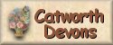 Link to Catworth Devons