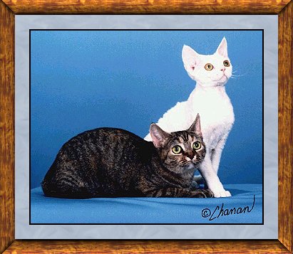 Ria & Angelina