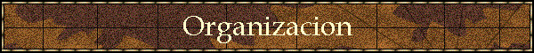 Organizacion