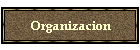 Organizacion