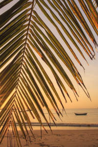 Sonnenuntergang  Canoa Quebrada strand sunset bilder foto, Brasilien Str�nde