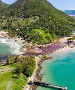 Florianopolis Arma�ao strand fotos bilder