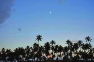Imbassai strand bilder, Brasilien Str�nde