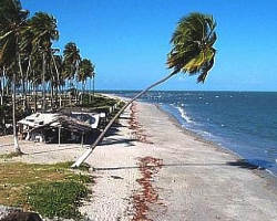 Praia do Forte strand bilder, Brasilien Str�nde